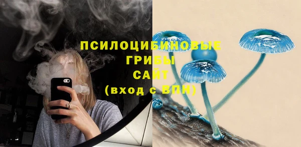 a pvp Алексеевка